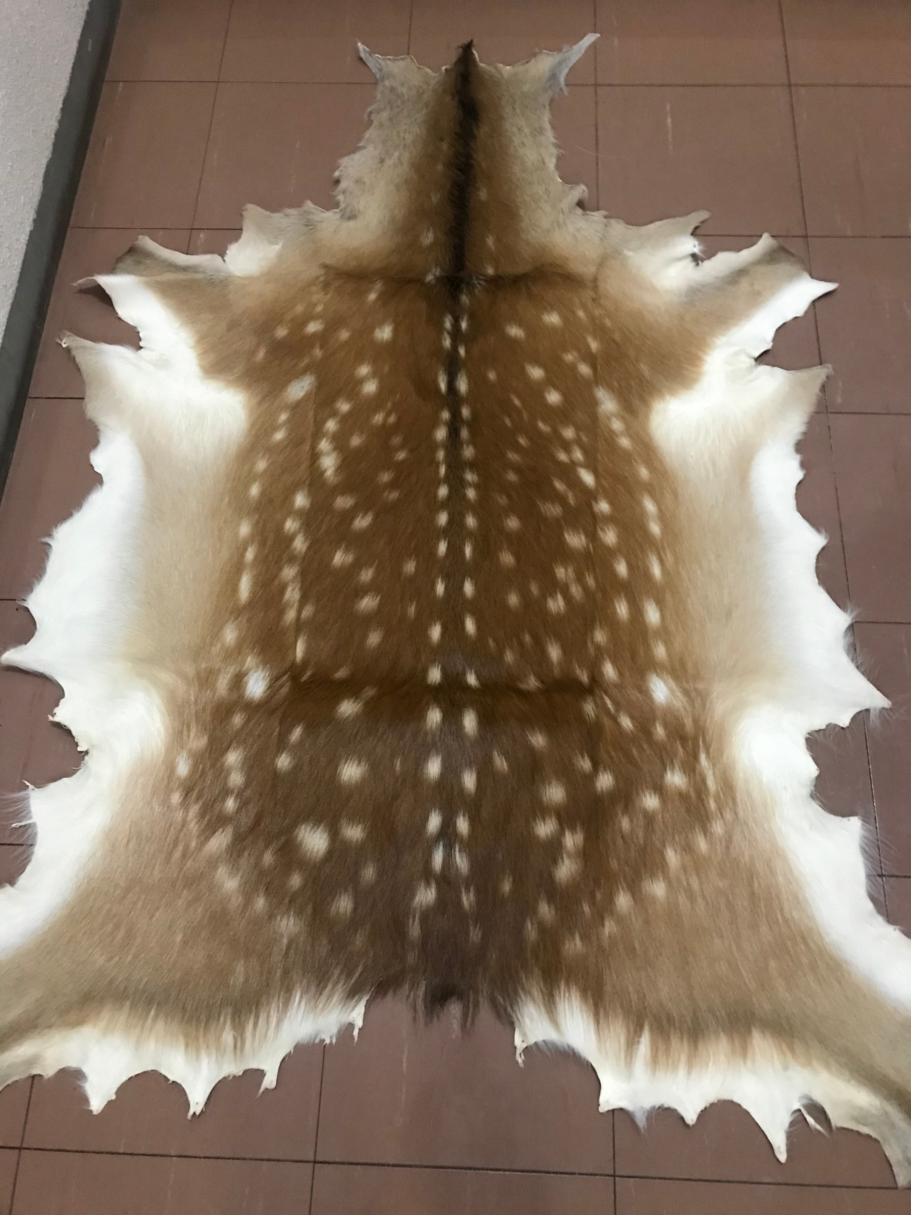 エゾシカ毛皮 鹿の子 北海道特産 蝦夷鹿革 夏毛鹿皮 優良美品 | NPO 