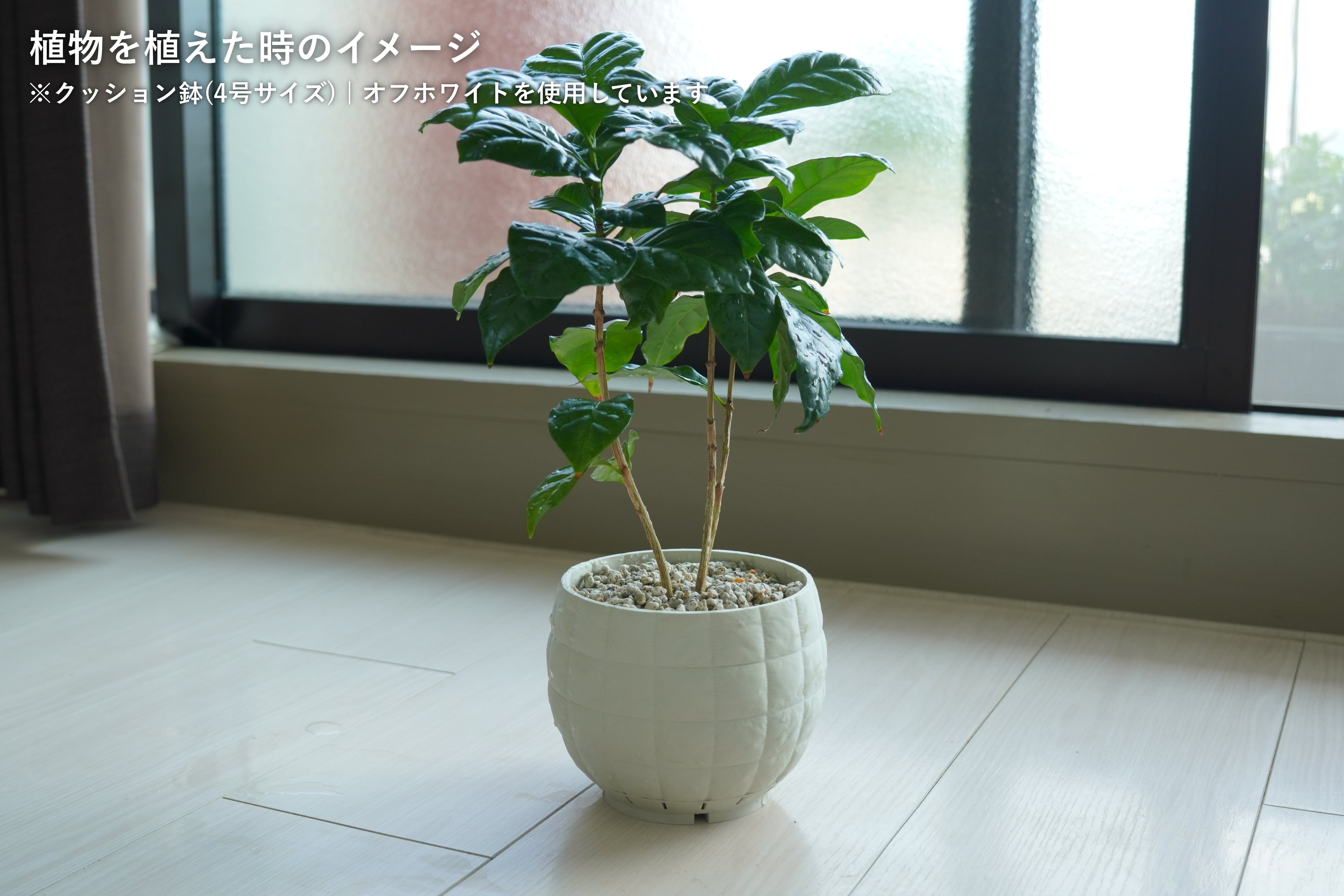 クッション鉢(5号サイズ)｜ブラック | みどりのグリーンSHOP