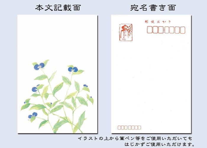 花きらら 暑中見舞い・残暑見舞いはがき 6枚入りセット 和紙 京都 福井