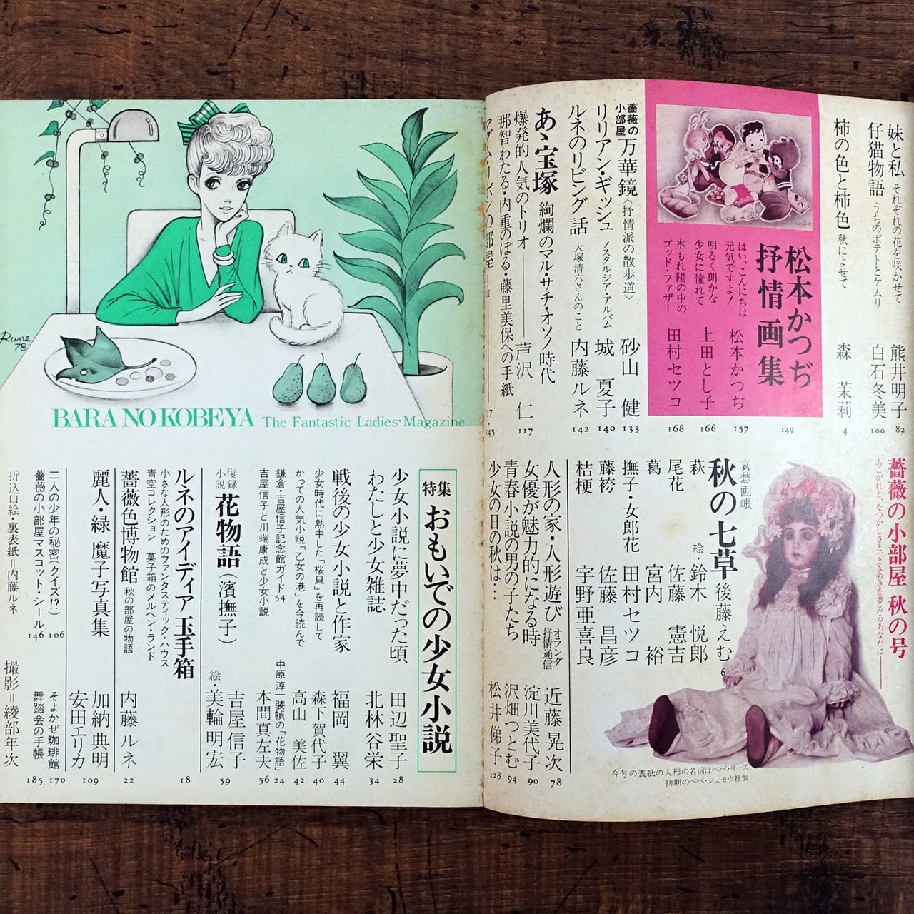 薔薇の小部屋 特集・おもいでの少女小説 松本かつぢ画集 | タイムカプセル