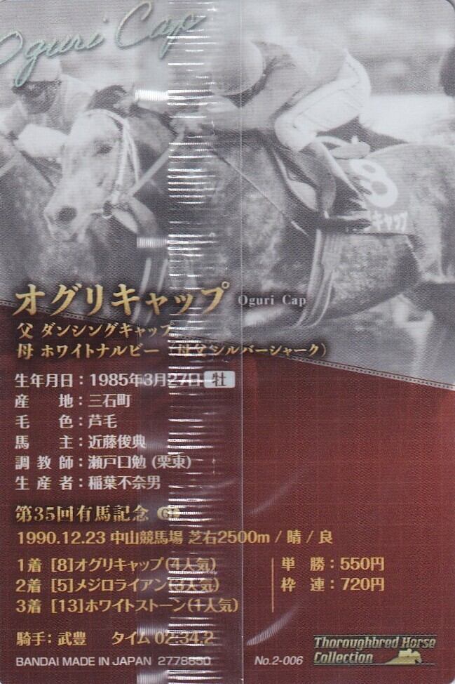 オグリキャップ：第35回 有馬記念「サラブレッドホースコレクション
