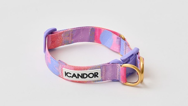 ※即納【ICANDOR】GENTLE COLLAR DUAL_MILKY WAY