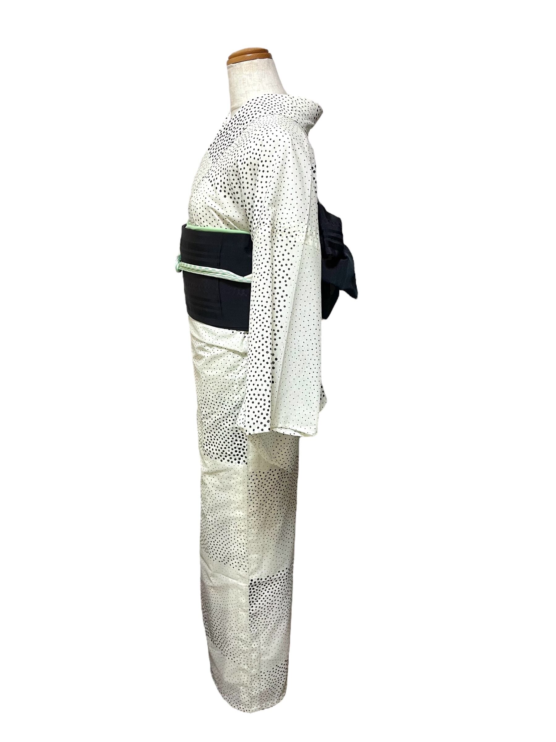 2173高身長 おしく 夏用絽小紋