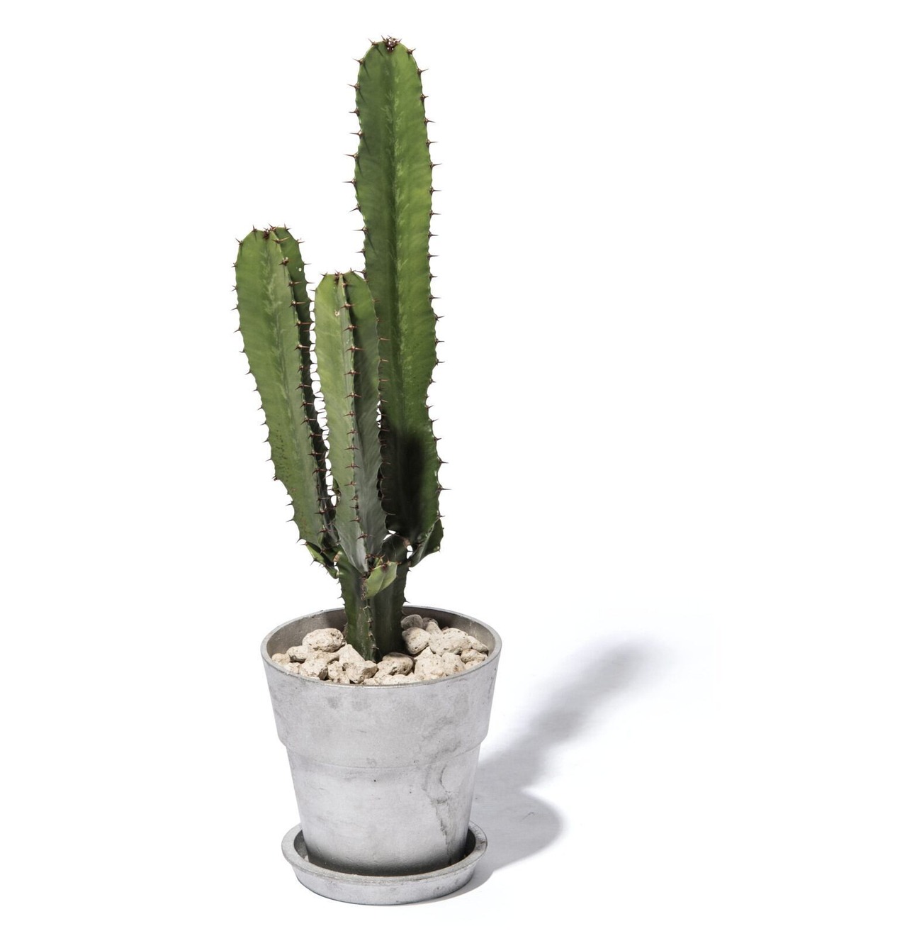 REPAIR 'N MAINTENANCE アルミ鉢 SOLID POT 155