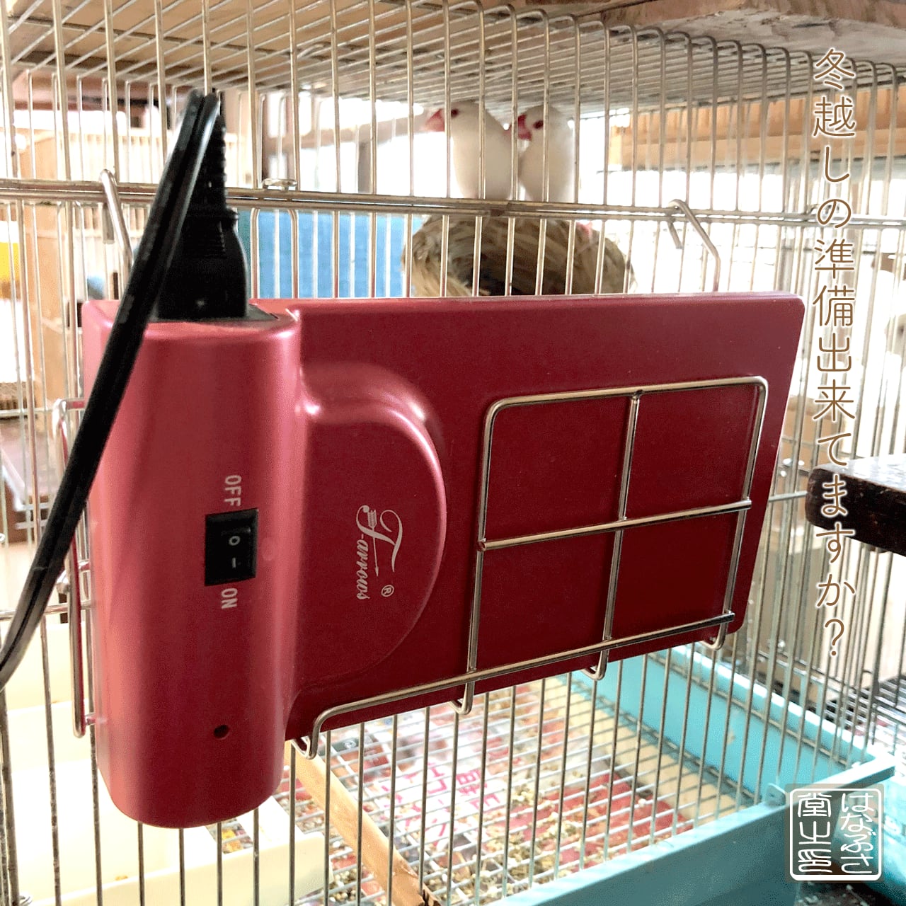 遠赤外線 マイカヒーターII 60W 鳥 小動物 保温 ヒーター | チャーム