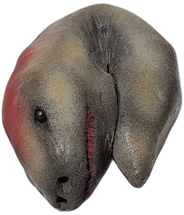 永野蟲 NN-00 寄生型怪奇蟲 怪奇標本 イ―502 | Pay ID