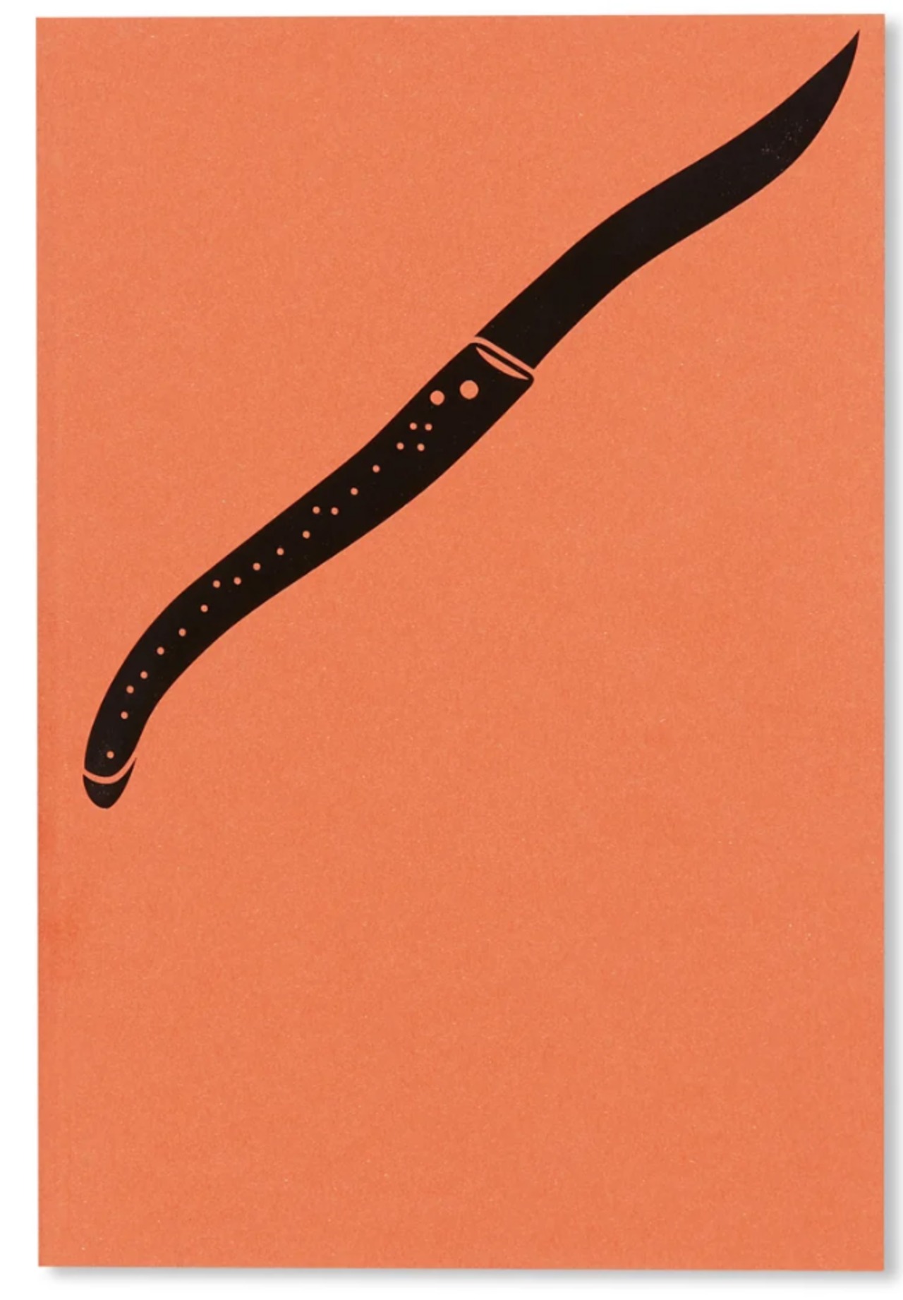 JE DORS, JE TRAVAILLE by Valentine Schlegel