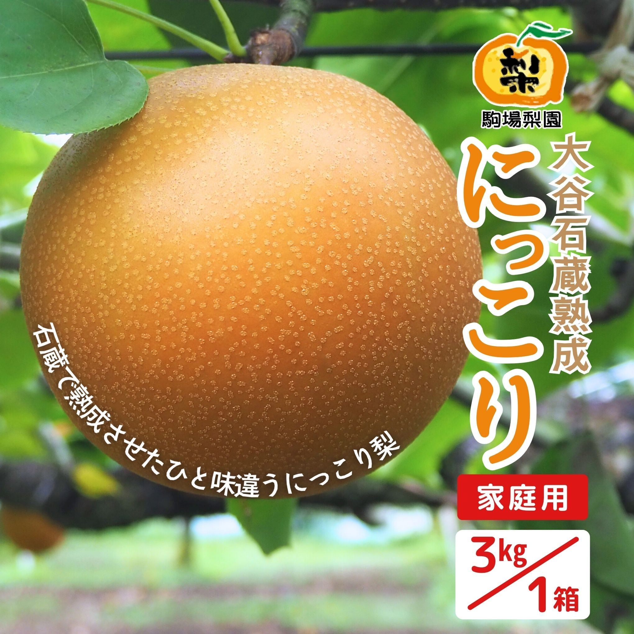 にっこり 3kg 家庭用 | 駒場梨園｜産直通販「あるよ」応援プロジェクト