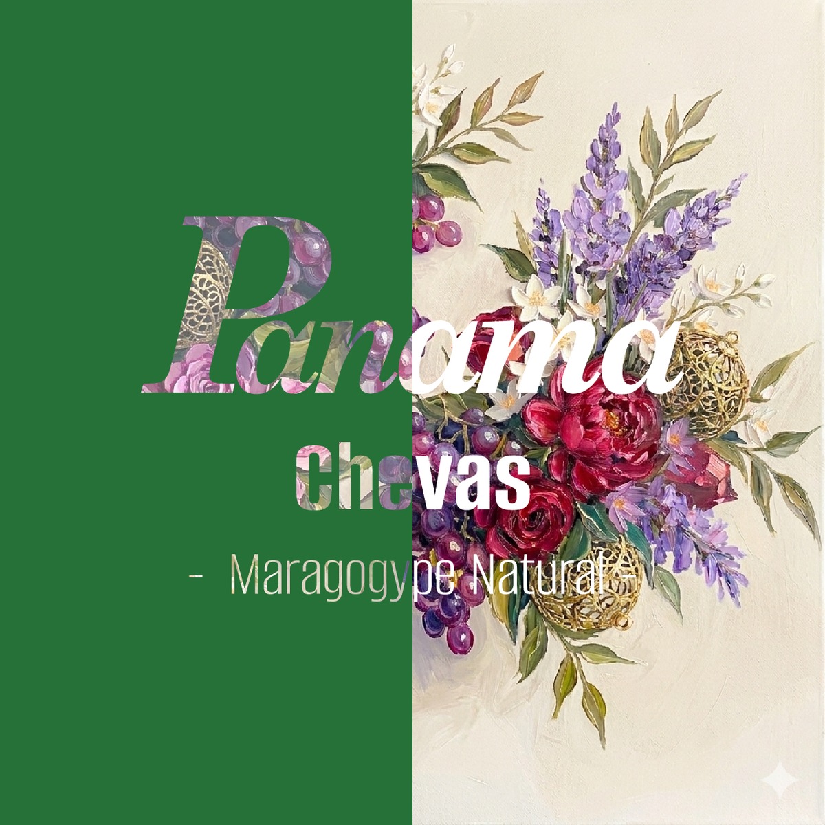パナマ Chevas Maragogype Natural | TRDR coffee 徒然-珈琲茶葉販売店-