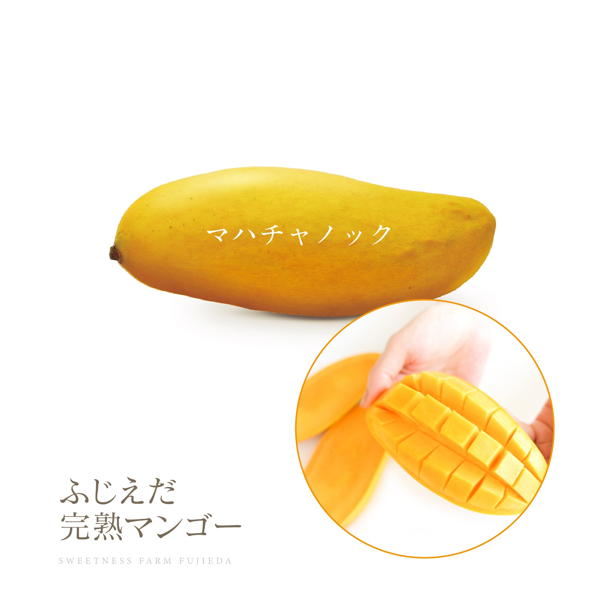 お得！ご自宅用【詰合せ】品種ミックスわくわく1kg | ふじえだ完熟