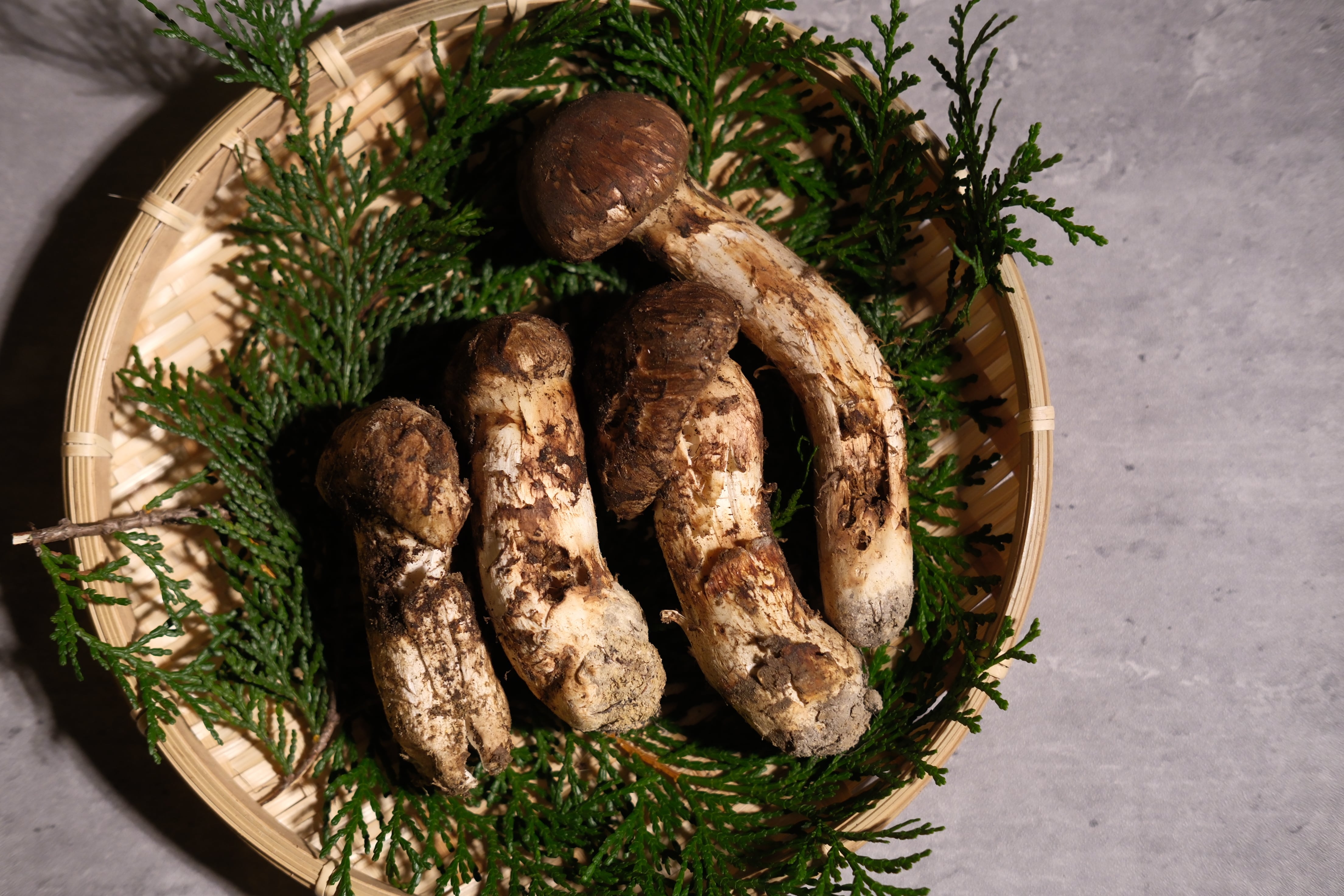 まつしまストアーオンライン