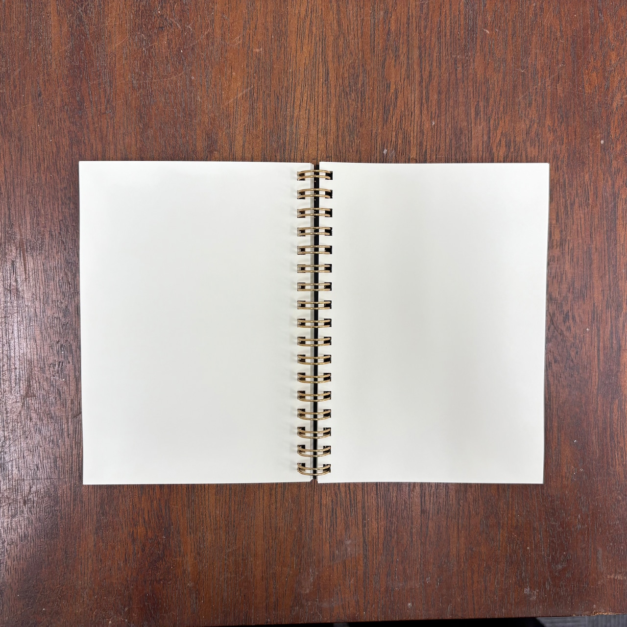 ミニノート（白猫）