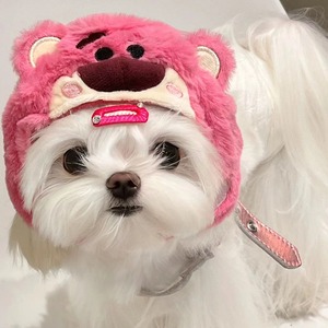【PET】3色展開マカロン色裏起毛温かくて柔らかい生地可愛いコスプレ帽子