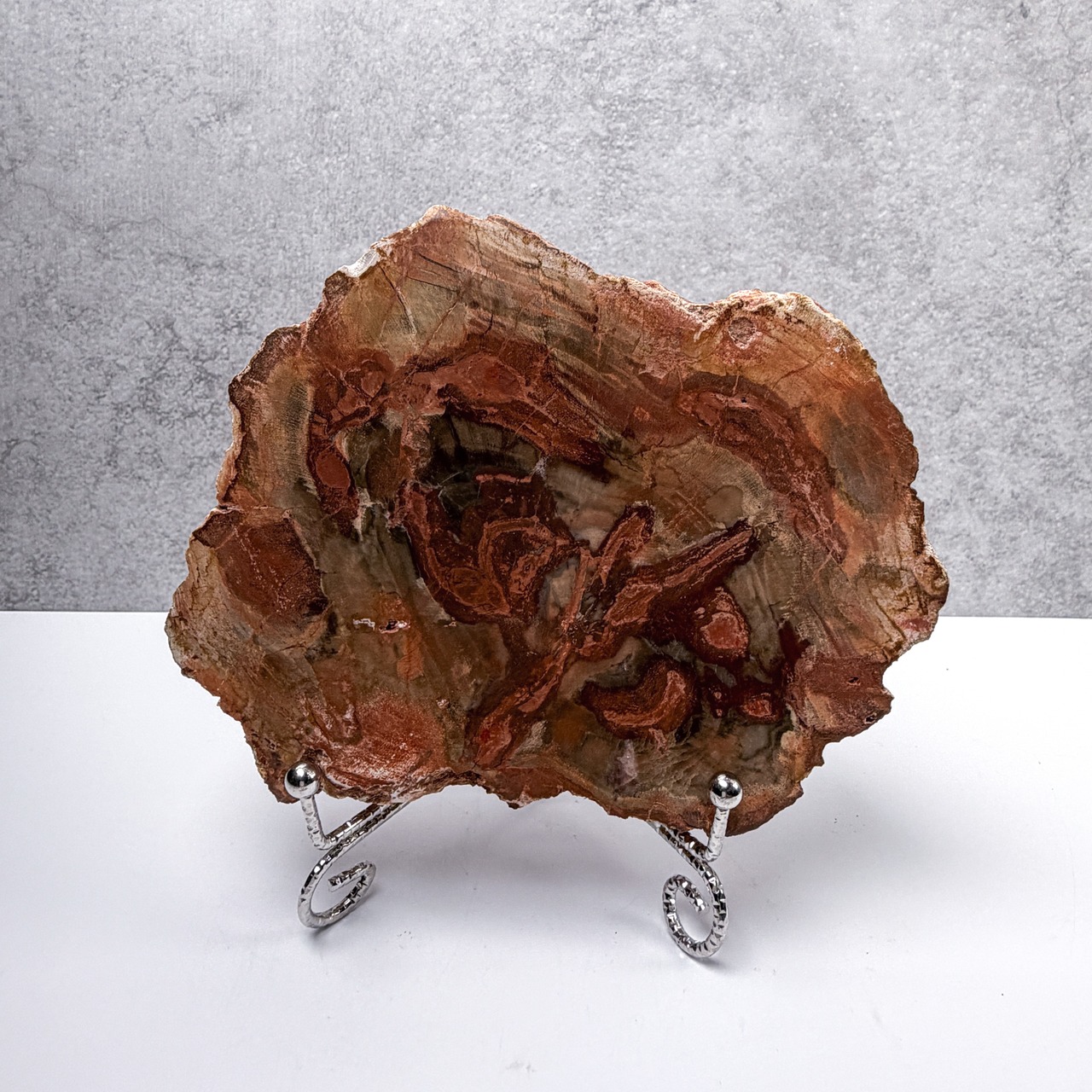ペトリ スラブ ＊ Petrified Wood ＊ 天然石