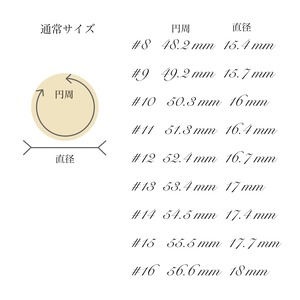 silver ring  SMR7 リング