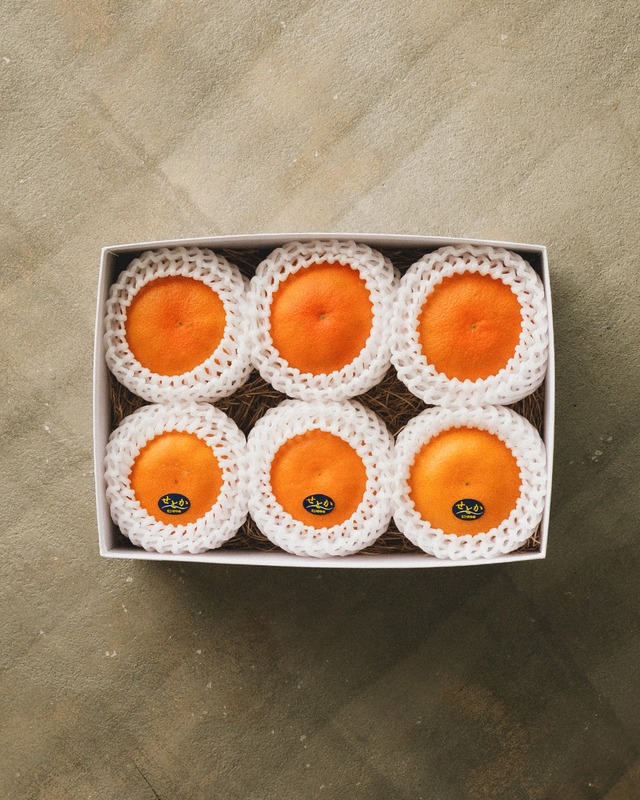 柑橘詰め合わせ