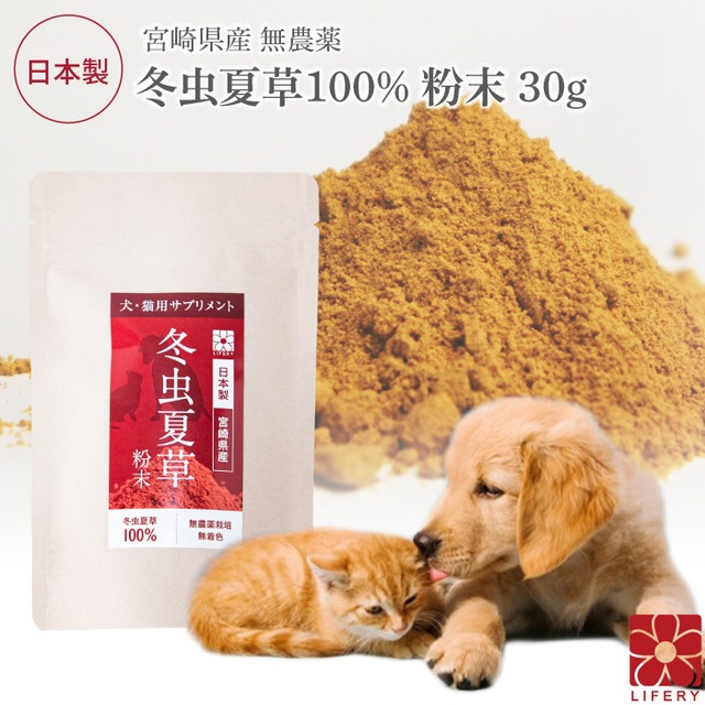 犬 猫 ペット 免疫 サプリメント 冬虫夏草 コルジセピン 粉末 健康食品 30g