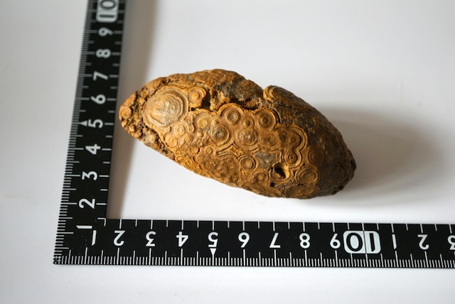 ゴビアゲート Gobi Agate 1129