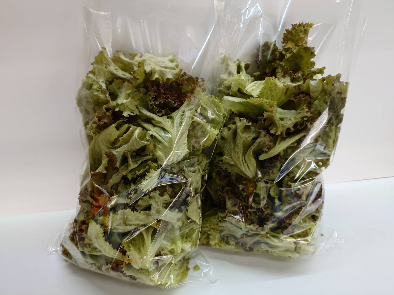 ブーケレタス 350g×1pc