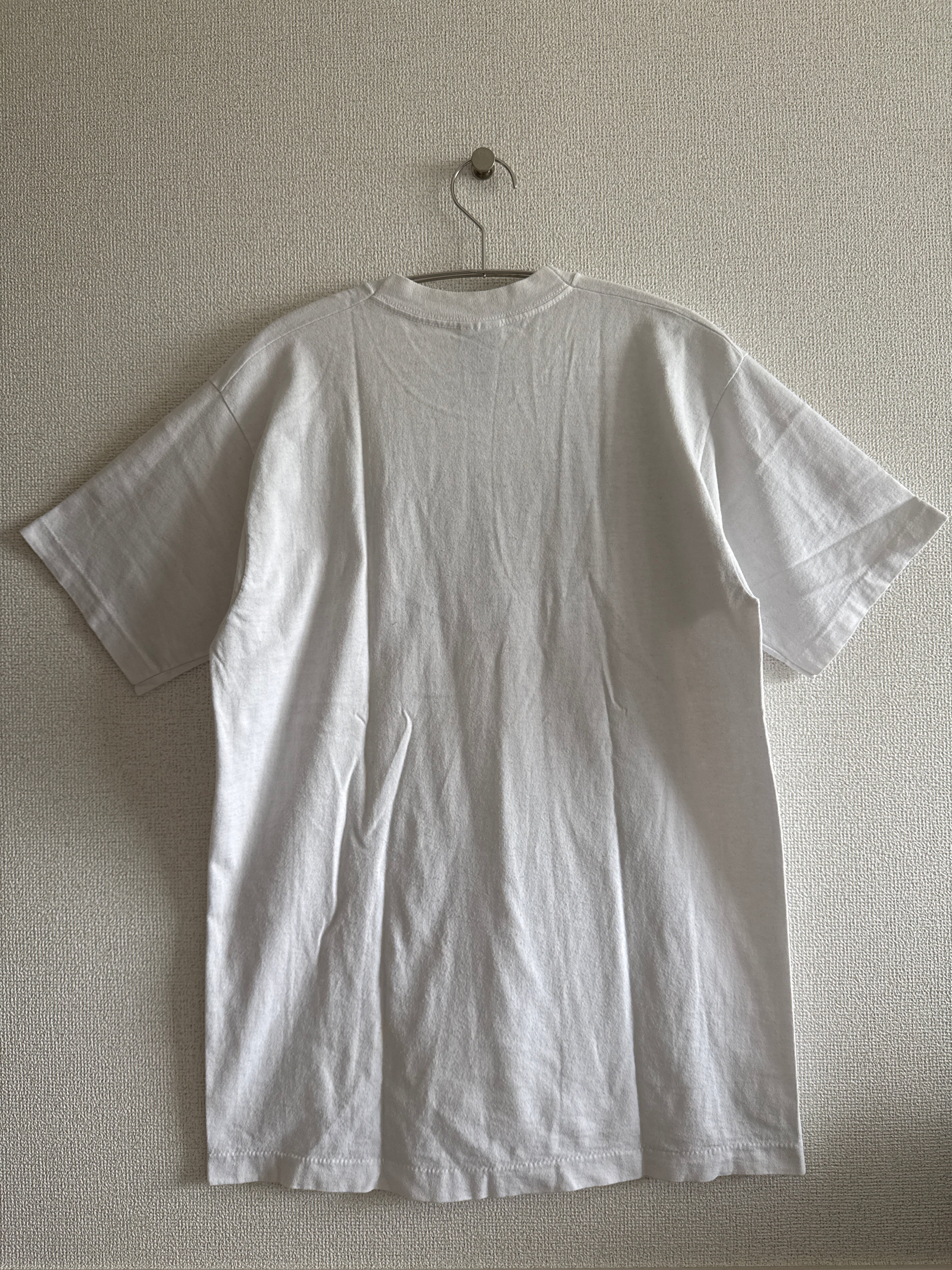 希少/90s】シカゴ・カブス FRUITS OF THE ROOM Tシャツ | PAY ID
