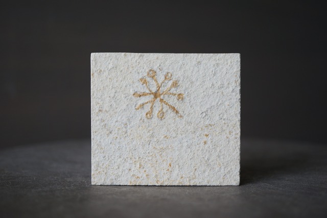 サクココマ化石 Saccocoma pectinata  1274