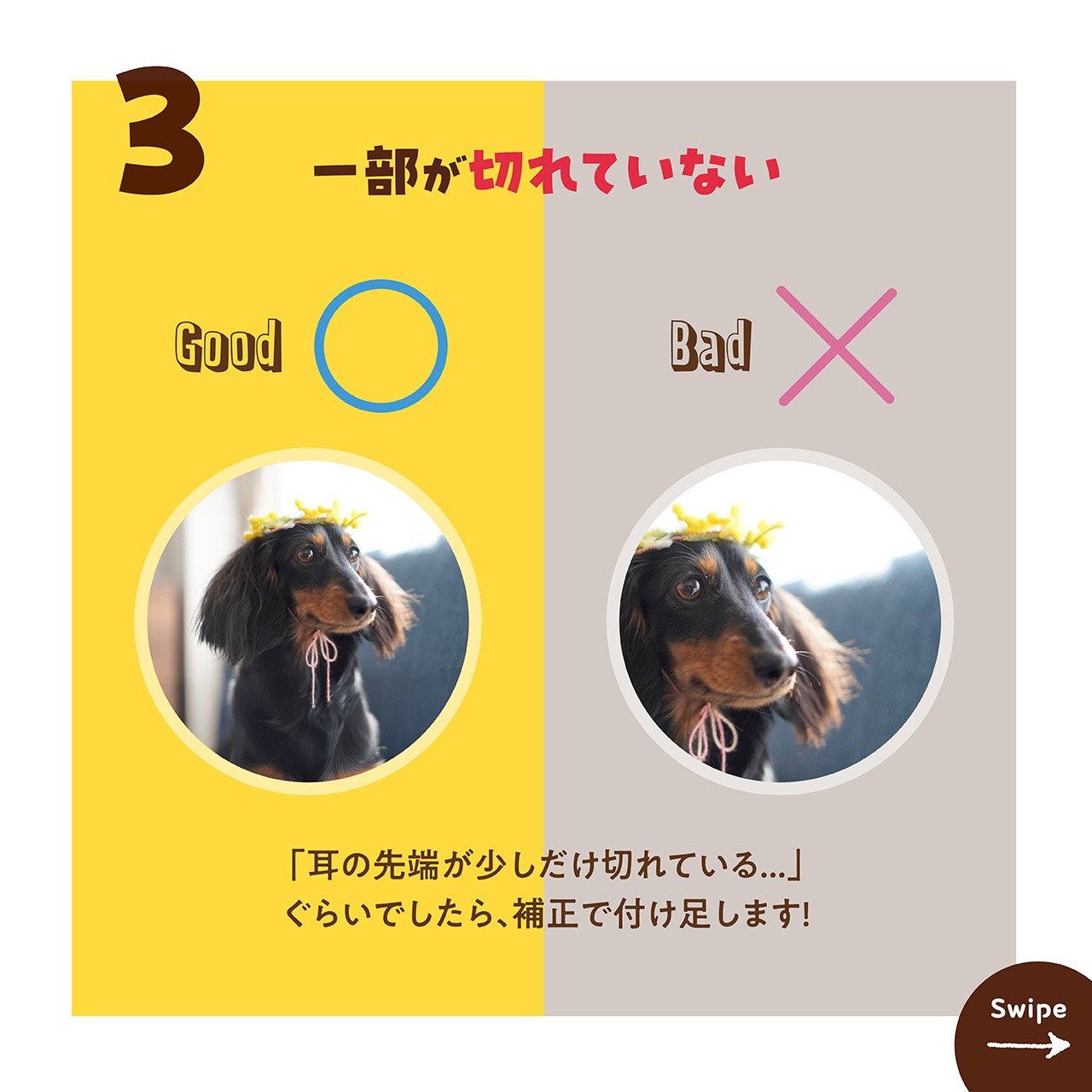 お写真の選び方