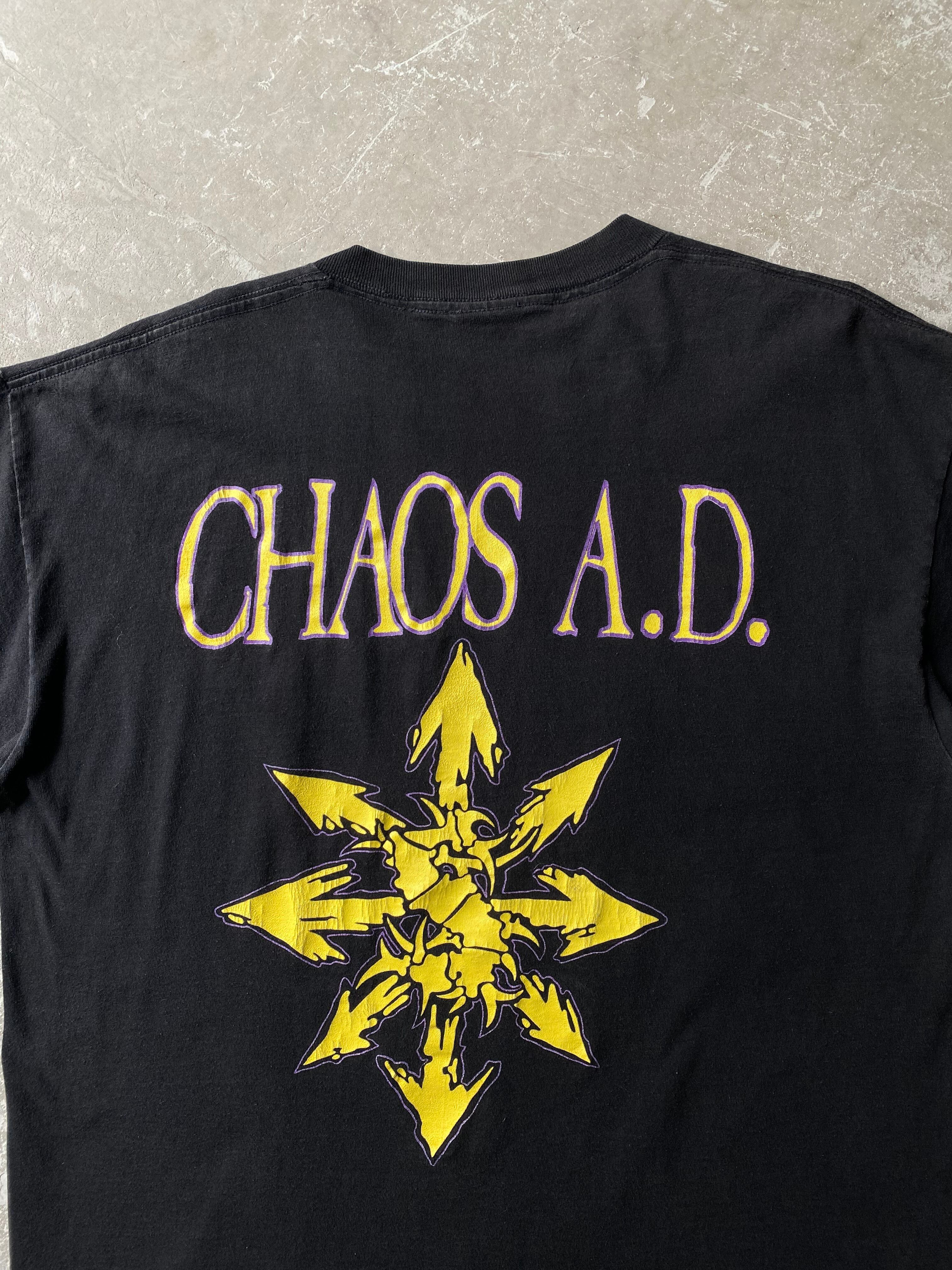 1993s SEPULTURA “ CHAOS AD . ” T-Shirt / vintage ヴィンテージ