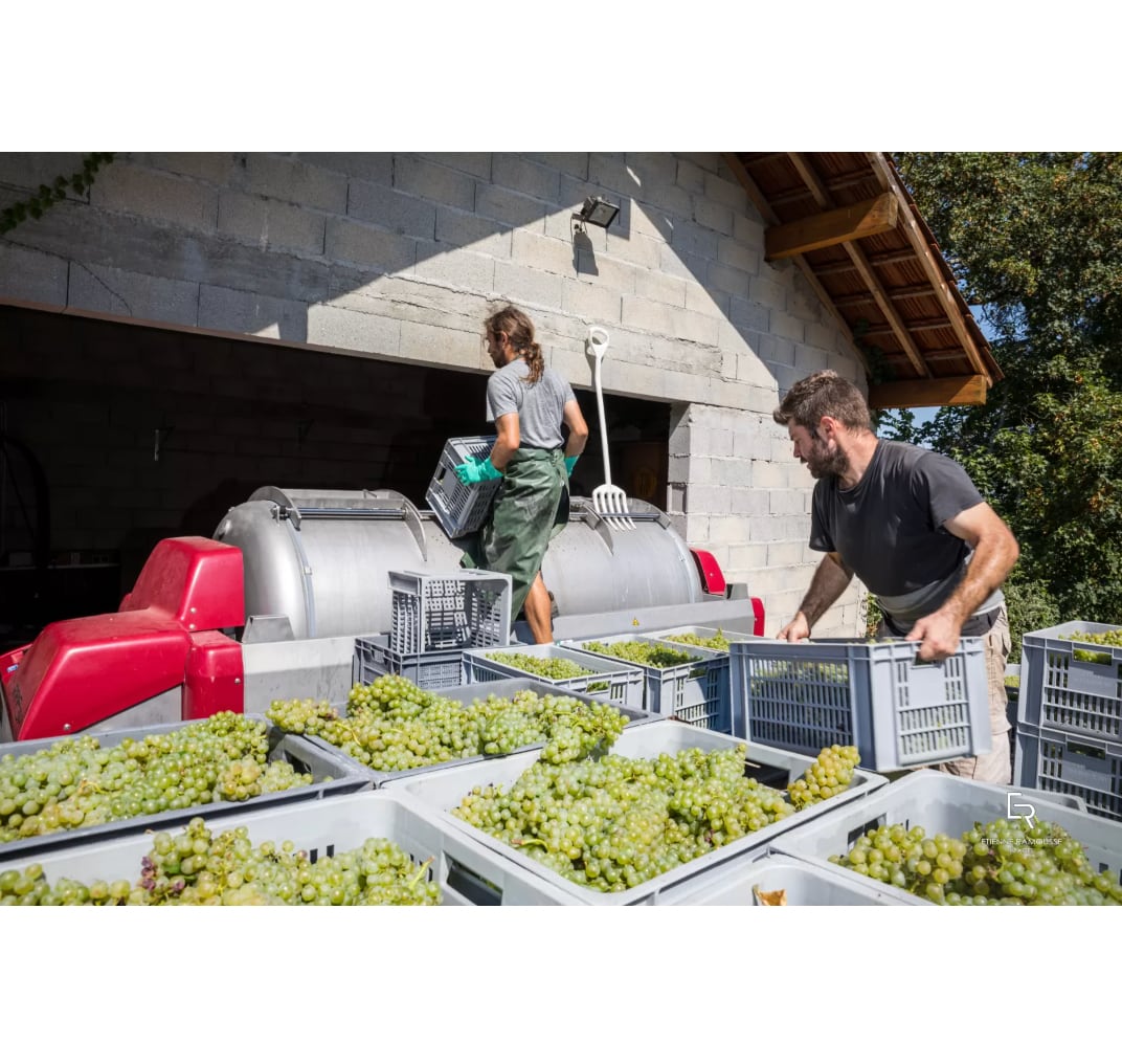 【デリアンス】クレマン・ド・ブルゴーニュ NV