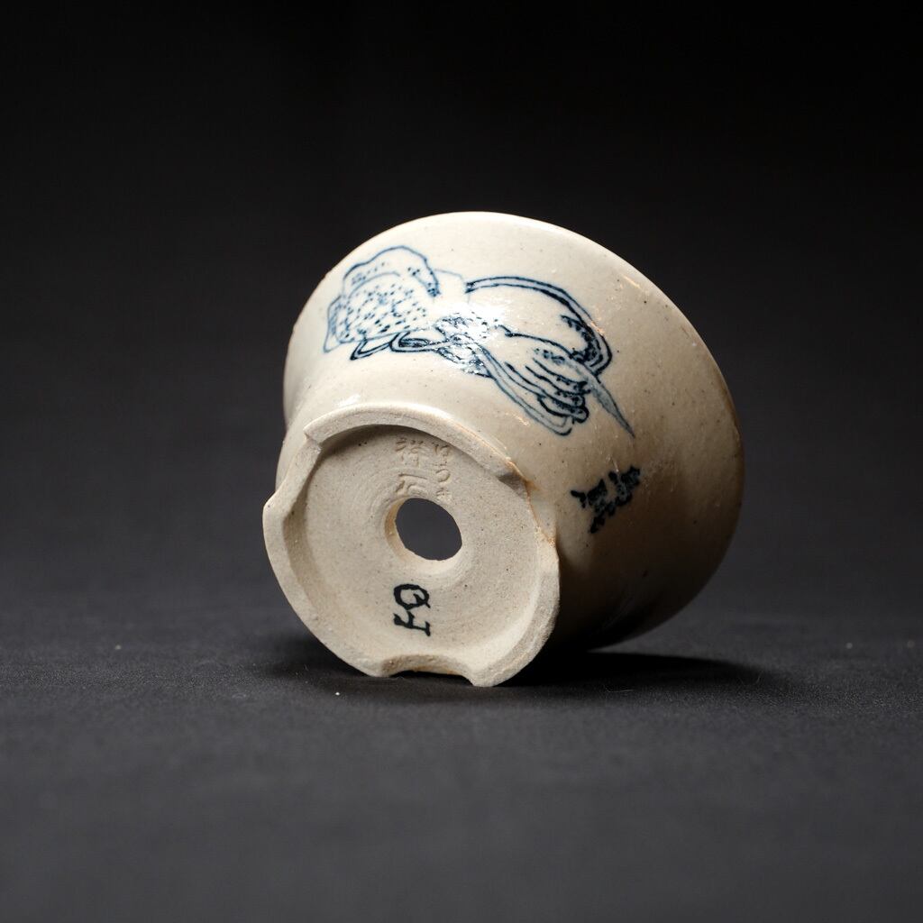 絵鉢 烏賊【Q鉢】 | bonsaiQ store