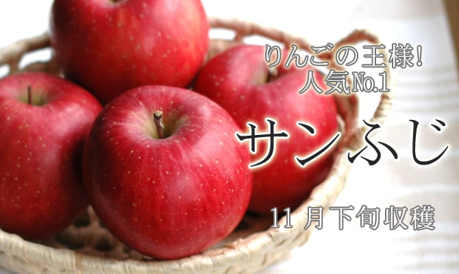 樹上完熟サンふじ(小玉）5kg ※20-25玉サイズ | フルーツファーム中村