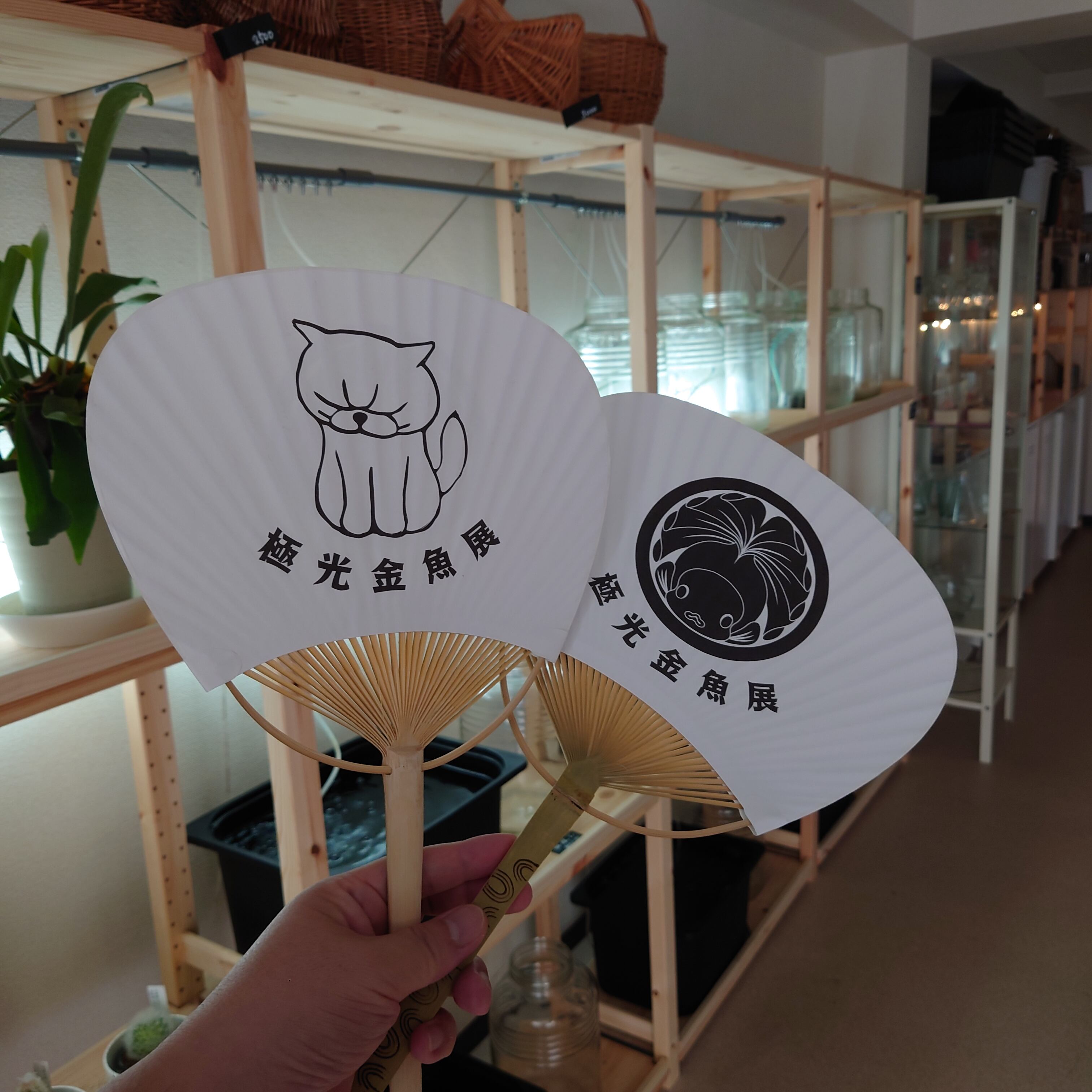 団扇 極光金魚展ロゴ ぬん子イラストの裏表デザイン 極光金魚展