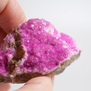 コンゴ産 コバルト カルサイト / 原石 標本