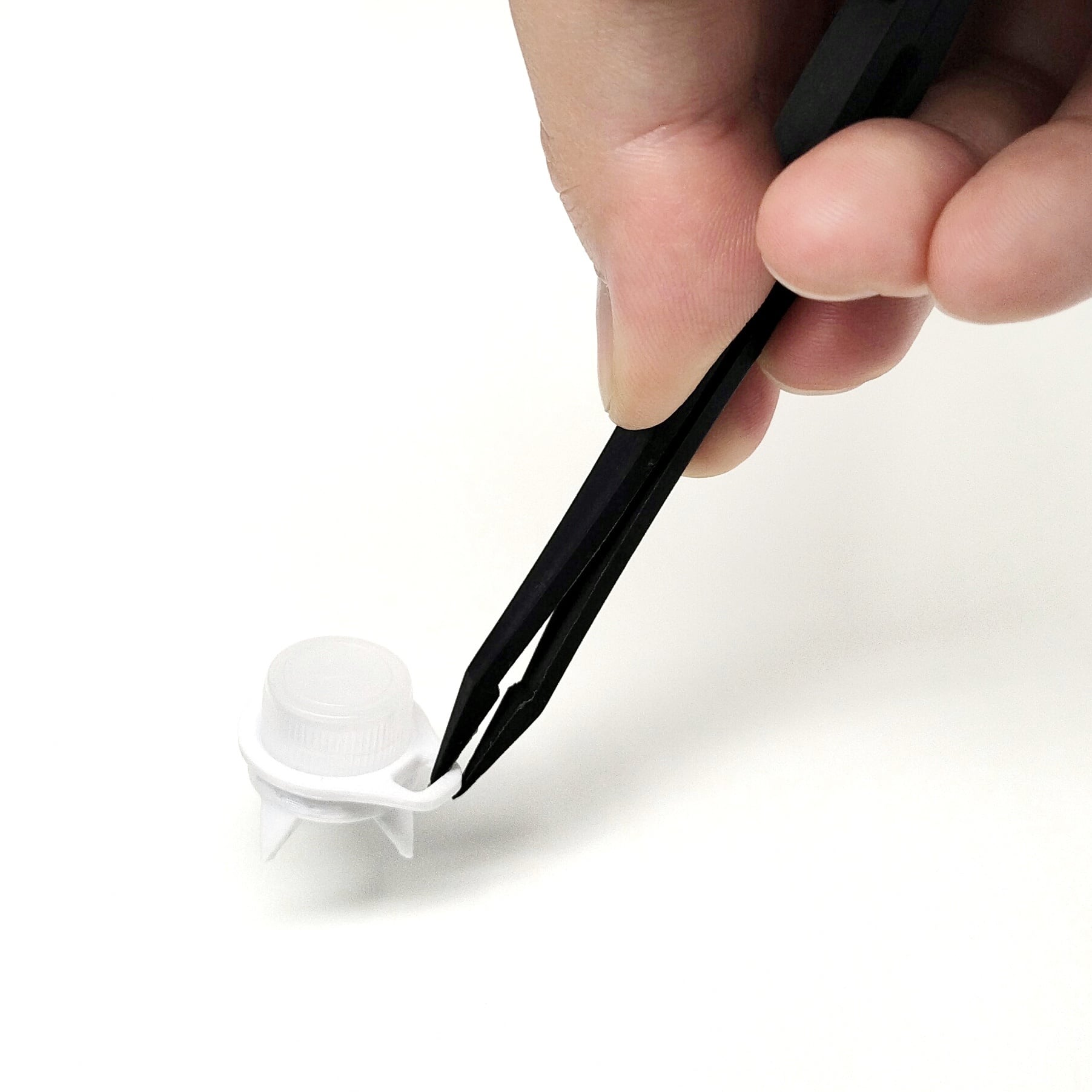 アリ飼育セット【初心者スターターキット】 | あり巣 in underground