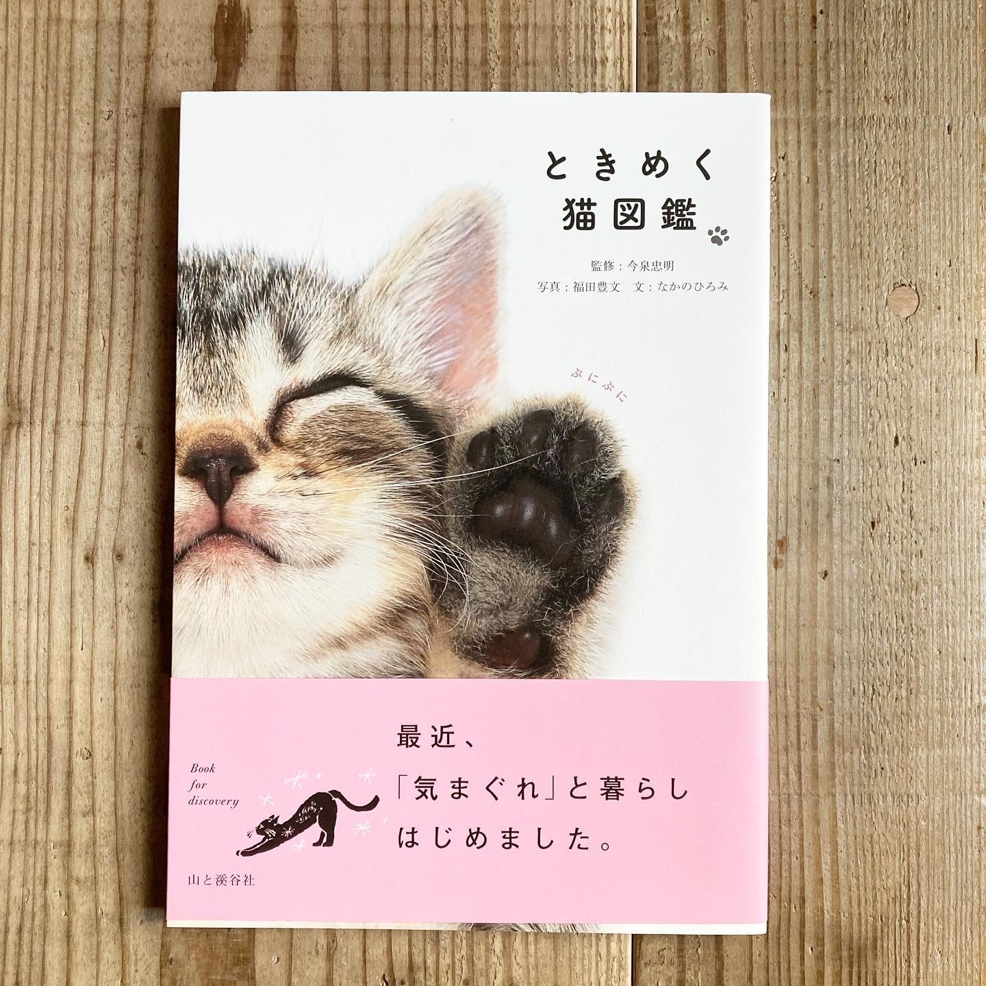 ときめく猫図鑑　書店リコッタ