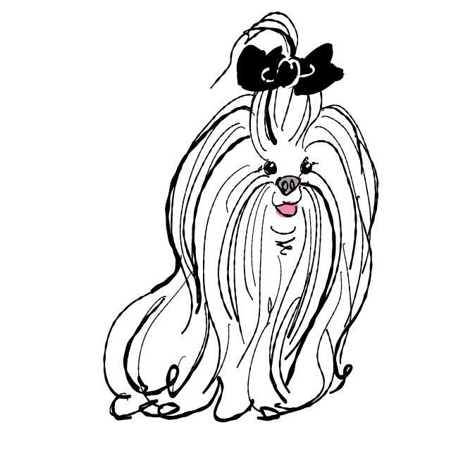 THさま専用 SEA top