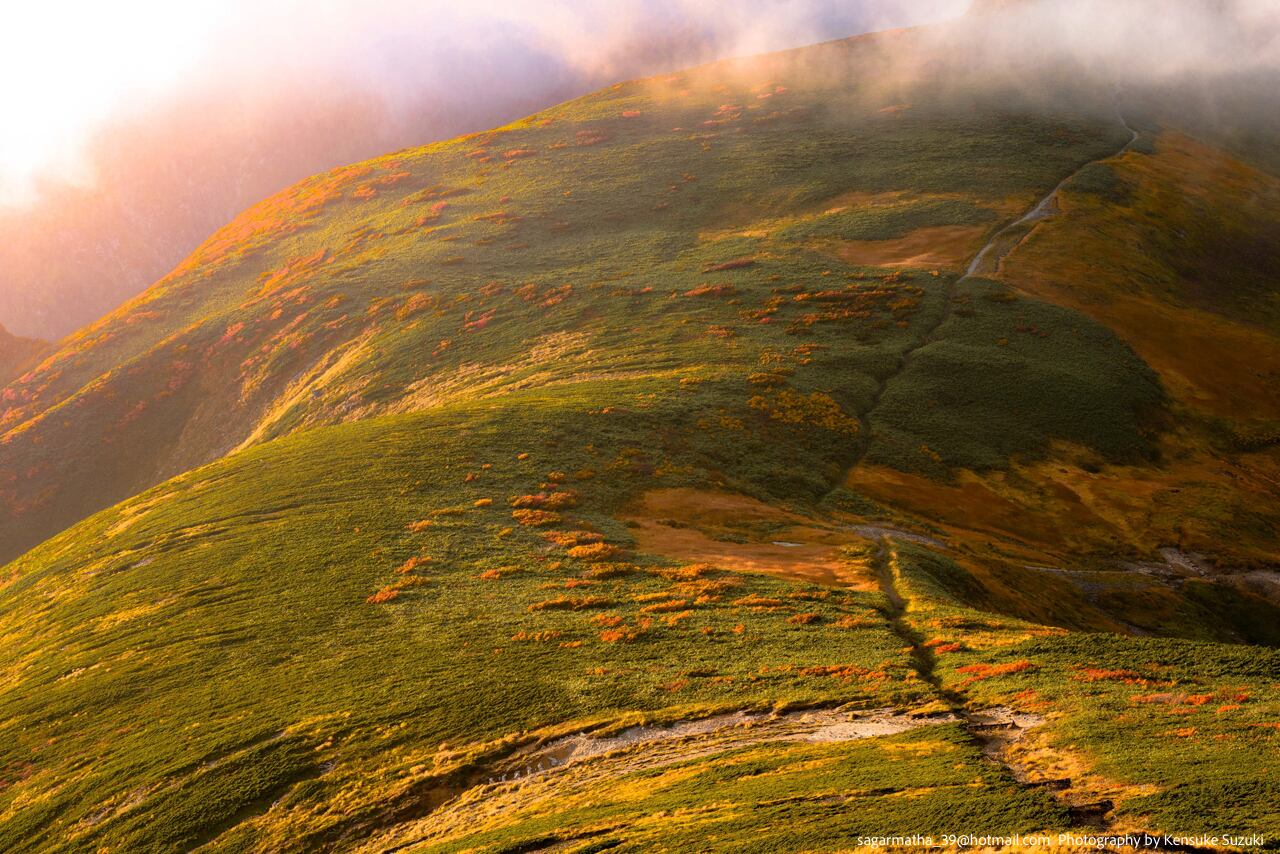 Landscape-90(ワイド四切)