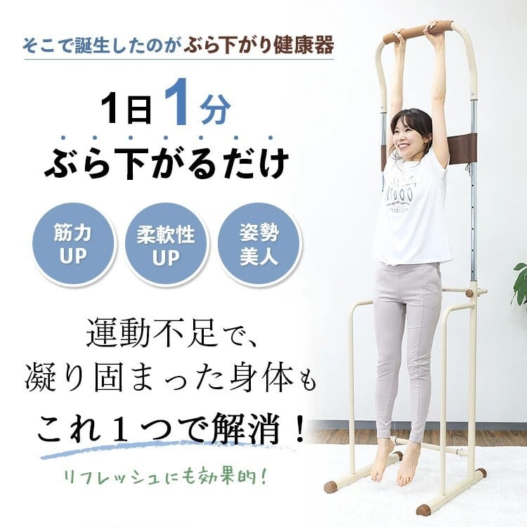 ぶら下がり健康器 コンパクト 介護 介護予防 リハビリ 運動不足解消