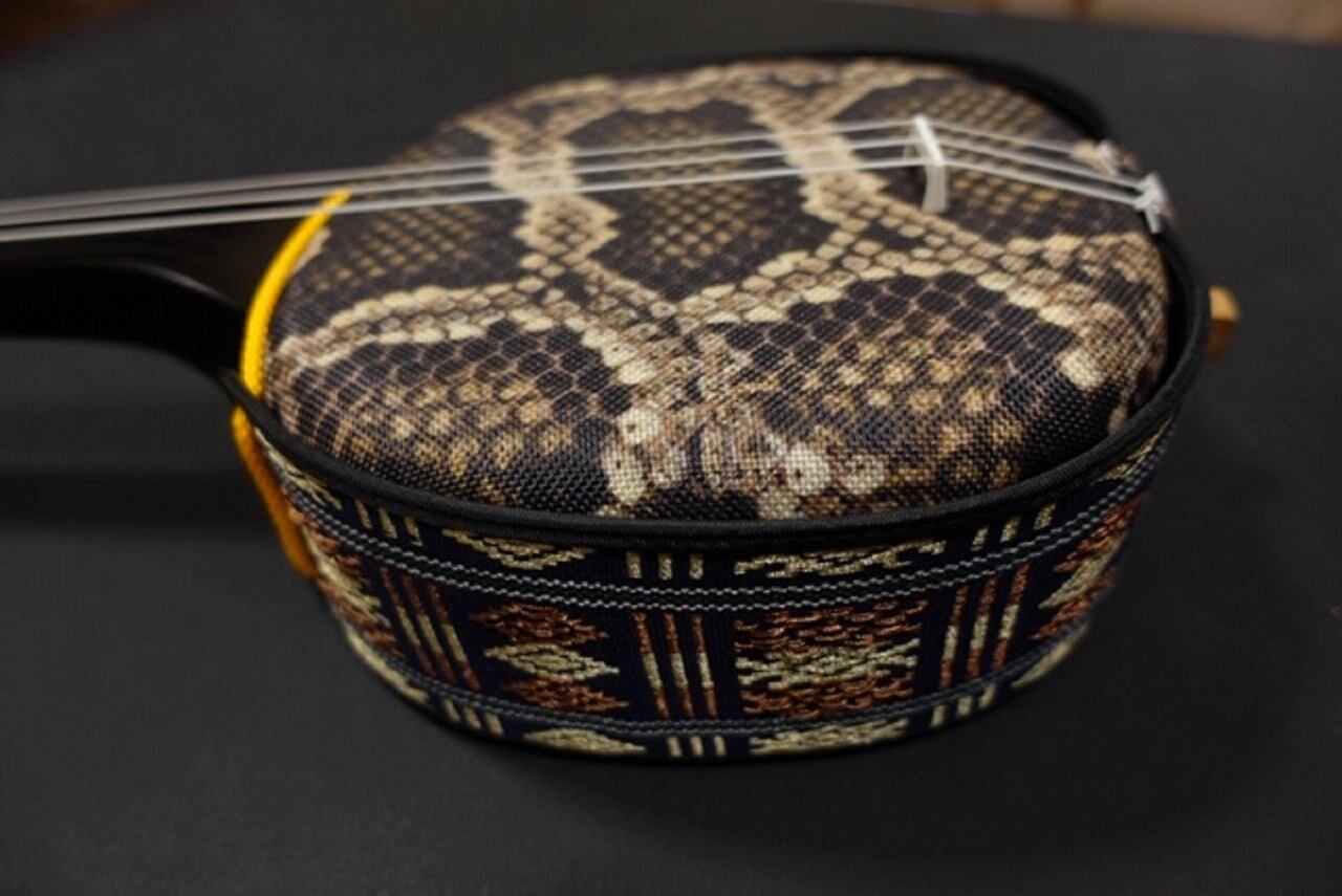 三線 沖縄三味線 初心者セット 両面人工皮張り ケース付き 楽譜付き 2種類 Dvd付き教本 ティーガー胴巻き アジアン 青 宮古木工芸 送料無料 島元屋 三線 沖縄三味線 初心者セット 両面人工皮張り ケース付き 楽譜付き 2種類 Dvd付き教本 ティーガー胴巻き アジアン 青 宮古木工芸 送料無料 島元屋