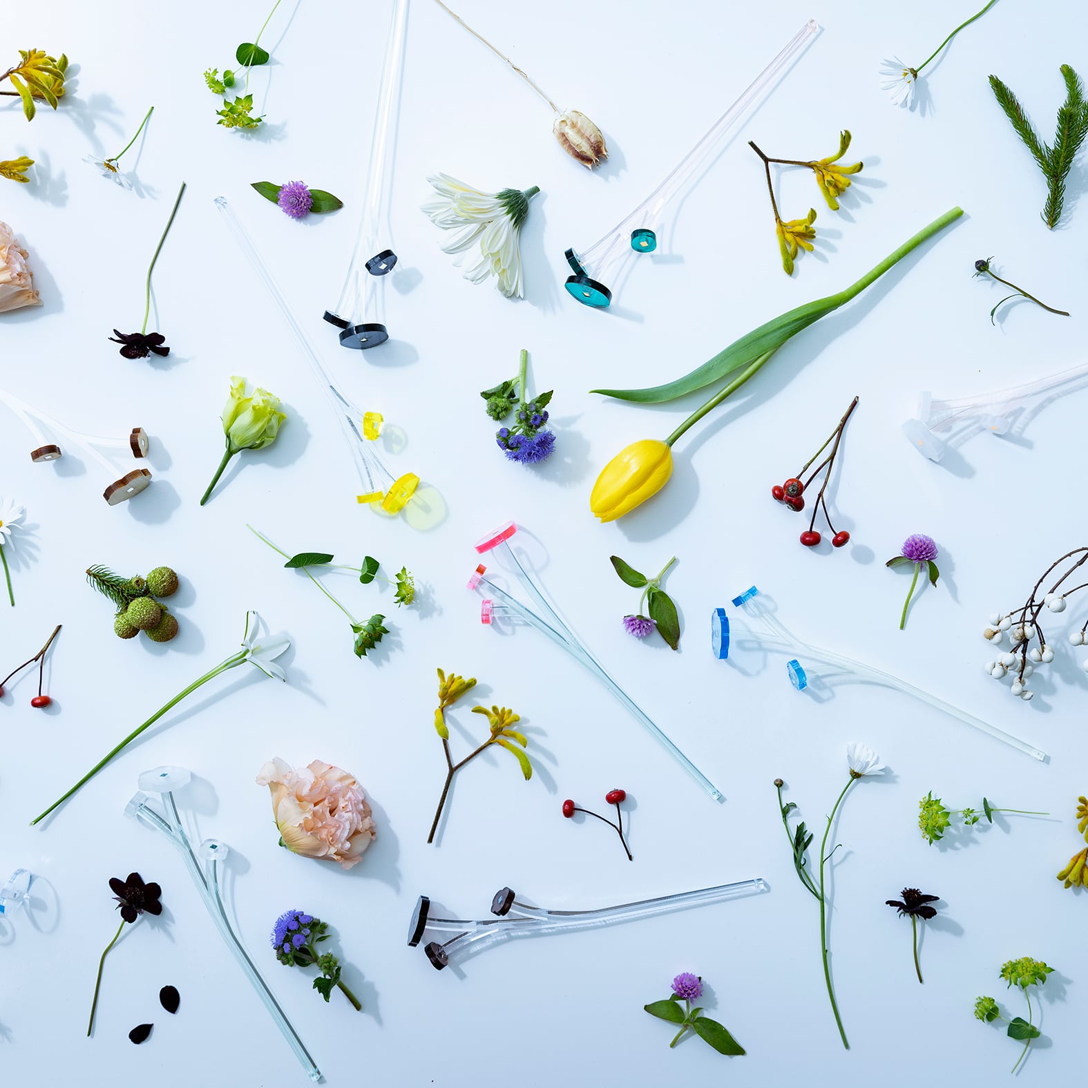 aoki yuri ヘッドアクセサリー【値下げ】 aoki yuri ヘッドアクセサリー【値下げ】 【公式通販】