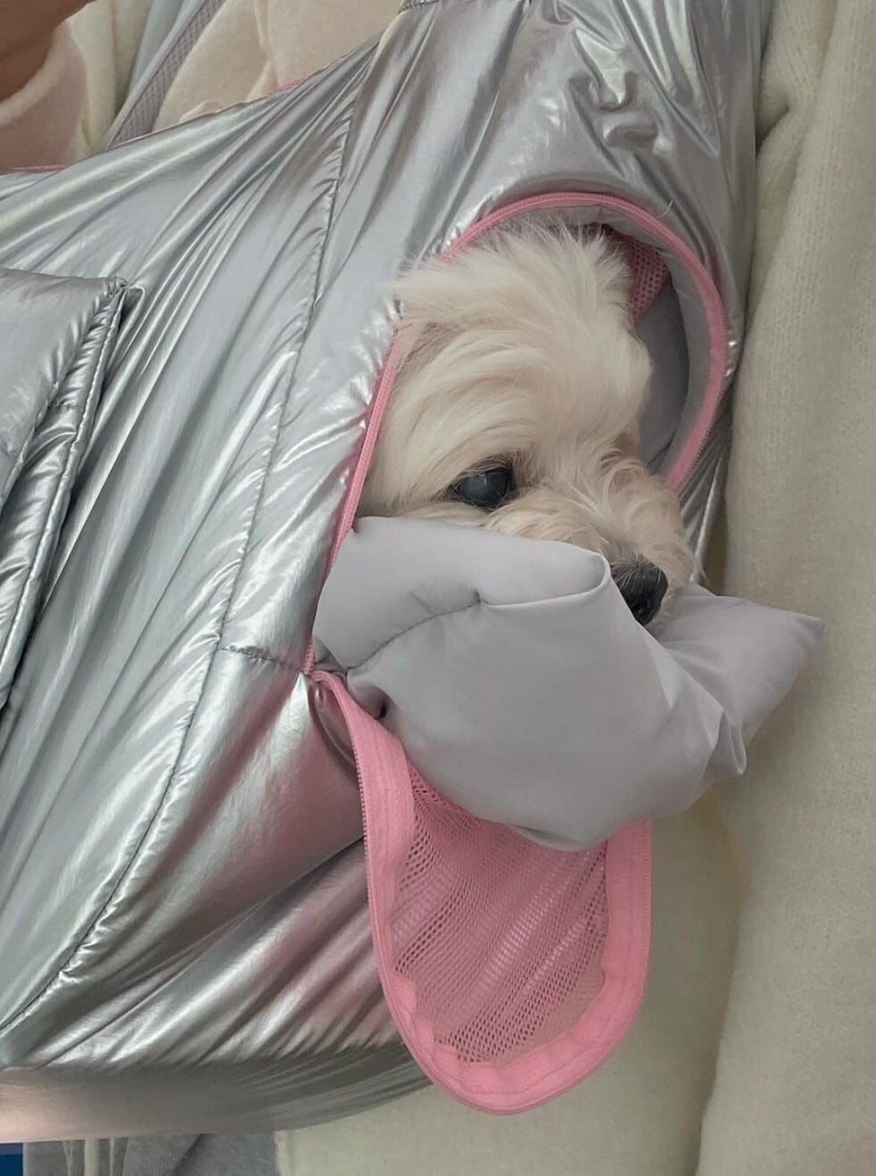 予約【ARCANNE】Canne bag《Silver×Mint / 2size対応》 | haneulpet