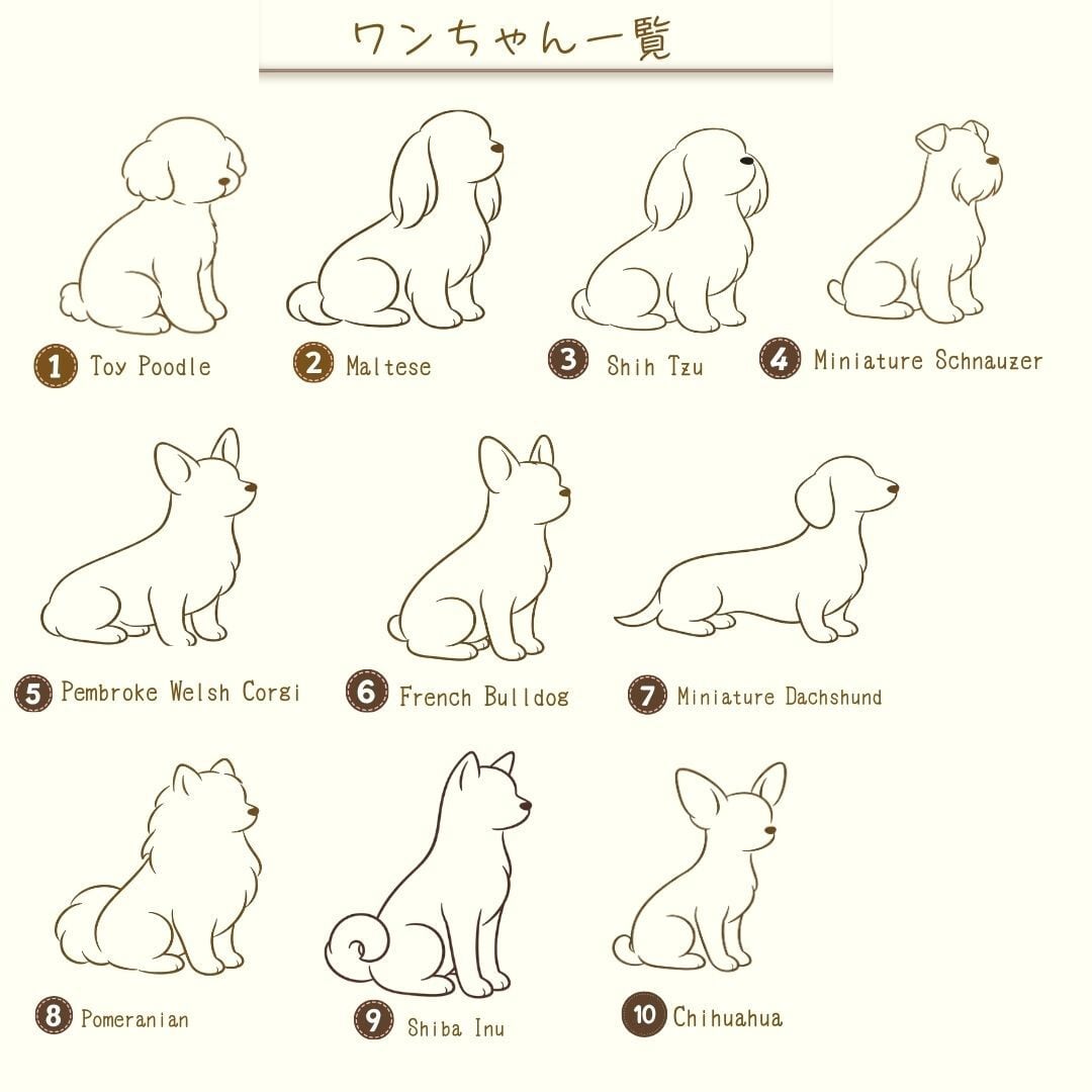 メール便で発送可能【うちの子お名前入り セミオーダー】ワンちゃんの