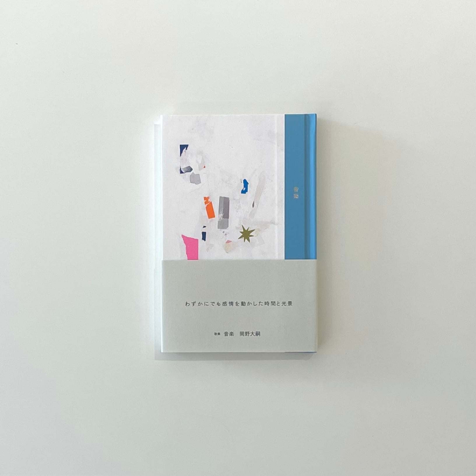 音楽｜岡野大嗣 | 本の栞