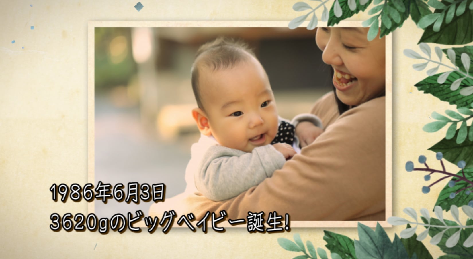 プロフィールムービー 『グリーン45枚』 | オープニングムービー