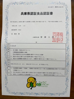 淡路島　新玉ねぎ 10ｋｇ