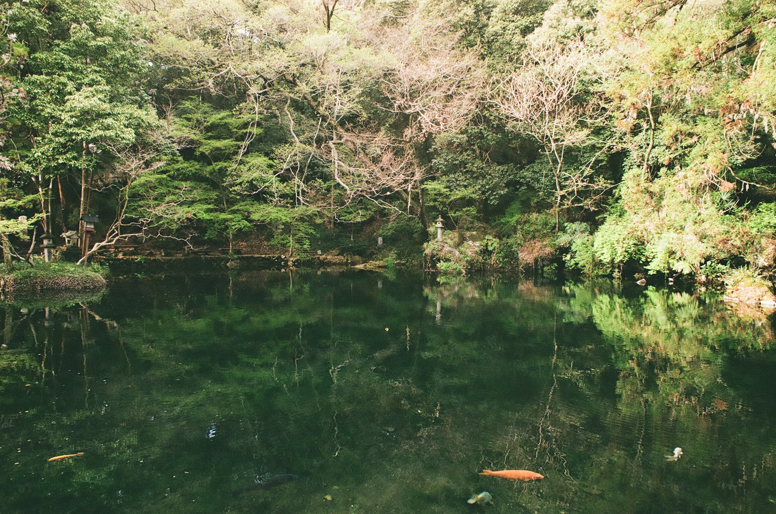 作例あり】【使用期限2026年1月まで／特別価格】FUJIFILM200 EXPO