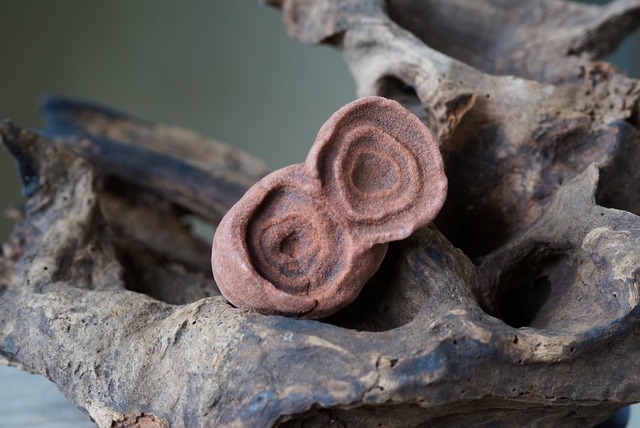 ストロマトライト 波状結晶　Stromatolite