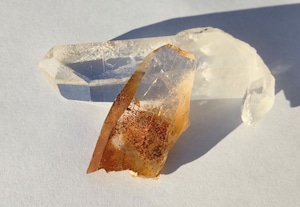 ∞ガネーシュヒマール・ゴールデンヒーラー