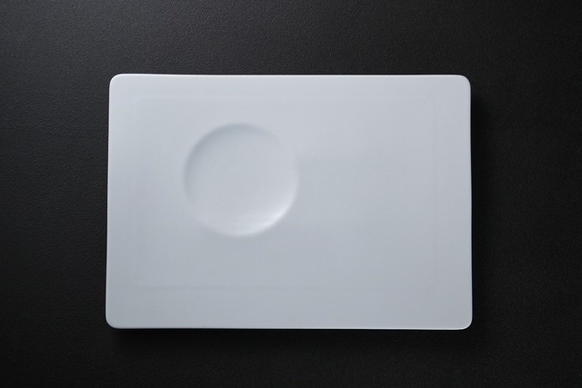 Vista Alegre オームーン ディープレクタンギュラー ソーラープレート 32.0×22.0×H1.6cm