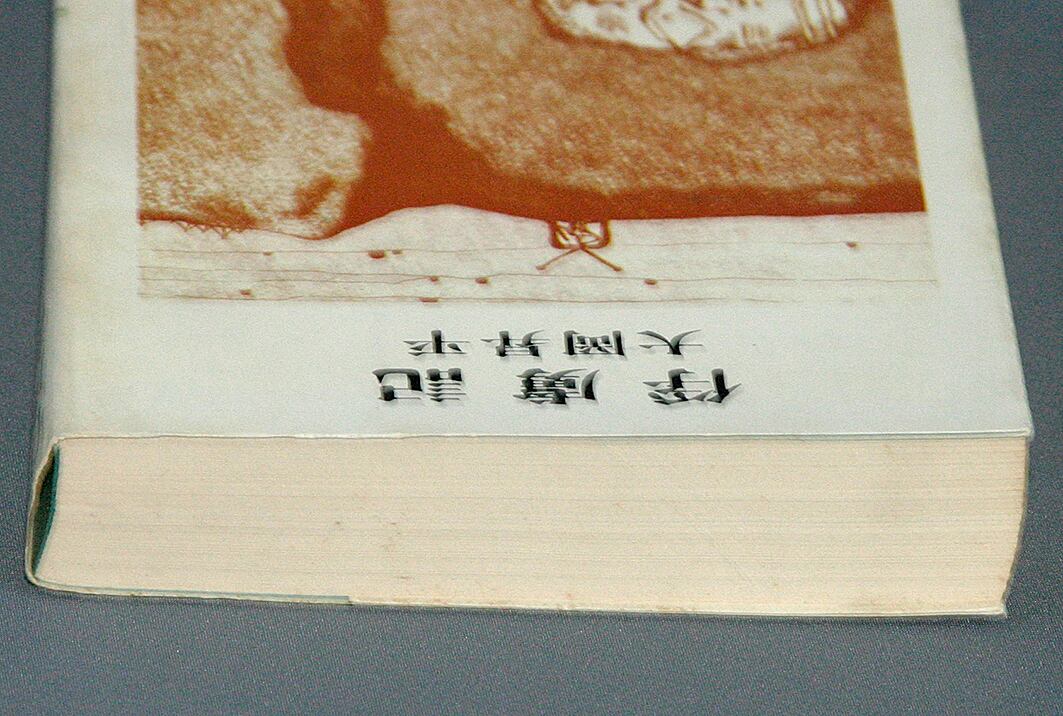 俘虜記／大岡昇平＝著 | ideabooks