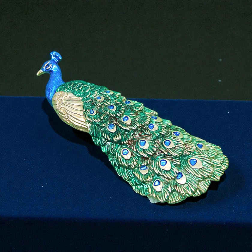 孔雀の羽根 ピーコックアイ | 花のギフト | 日本総合園芸